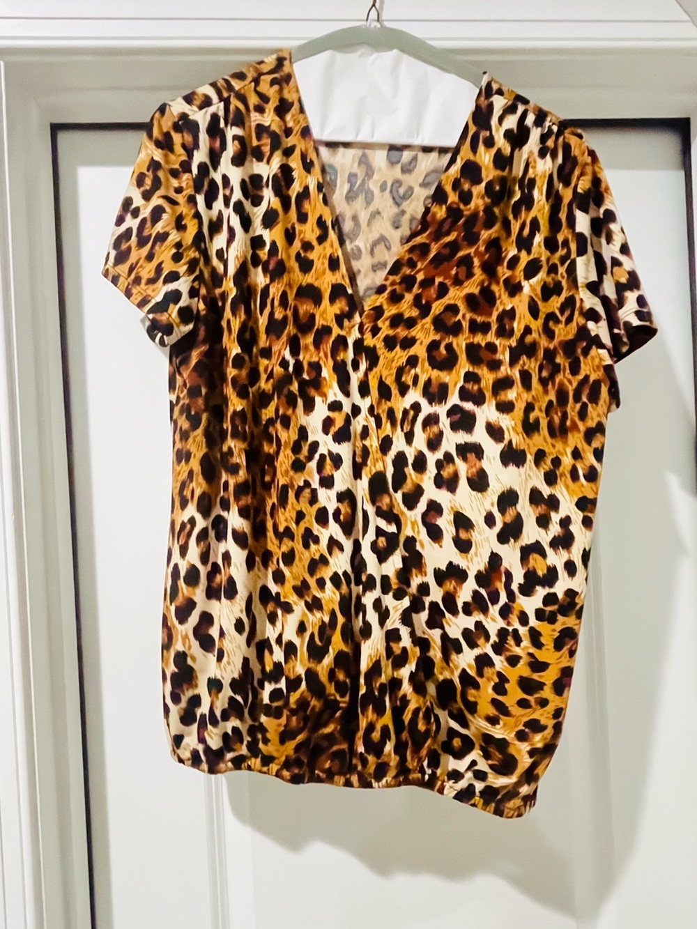 Forgotten Grace Women’s Leopard Print V-Neck Top - Brown